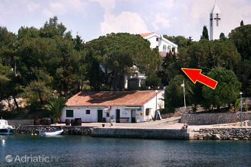 Property - Apartments 6474 Property Mandre (Pag) - Accommodation 6474 - Apartments near sea.