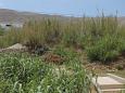 Shared terrace - view Shared terrace - view - Apartment A-6535-b - Apartments Pag (Pag) - 6535