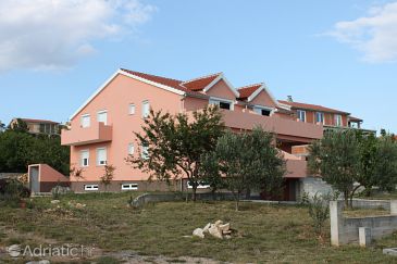 Property - Apartments 6573 Property Maslenica (Novigrad) - Accommodation 6573 - Apartments with pebble beach.