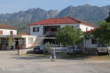 Property - Apartments 6628 Property Seline (Paklenica) - Accommodation 6628 - Apartments with pebble beach.