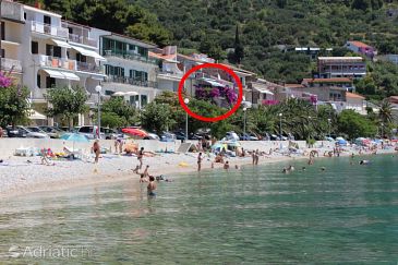 Property - Apartments 6801 Property Podgora (Makarska) - Accommodation 6801 - Apartments near sea with pebble beach.