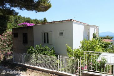 Property - Apartments 6822 Property Zaostrog (Makarska) - Accommodation 6822 - Apartments near sea with pebble beach.