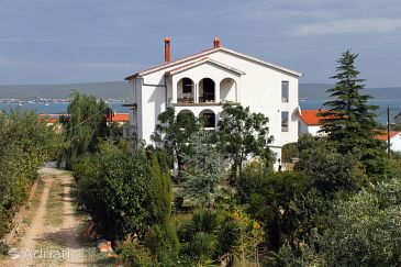 Property - Apartments 684 Property Neviđane (Pašman) - Accommodation 684 - Apartments with pebble beach.