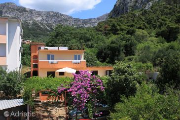 Property - Apartments and Rooms 6903 Property Gradac (Makarska) - Accommodation 6903 - Apartments and Rooms near sea with pebble beach.