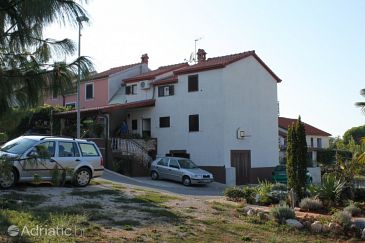 Property - Apartments 6935 Property Dajla (Novigrad) - Accommodation 6935 - Apartments with pebble beach.