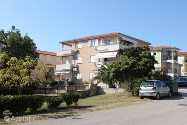 Property - Apartments 6936 Property Novigrad (Novigrad) - Accommodation 6936 - Apartments with pebble beach.