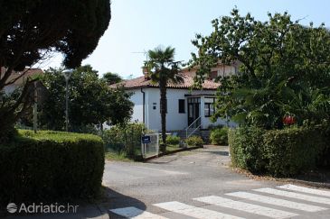 Property - Apartments 6961 Property Umag (Umag) - Accommodation 6961 - Apartments with sandy beach.