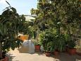 Courtyard - Rooms 7616 Courtyard Rabac (Labin) - Accommodation 7616 - Rooms with pebble beach.