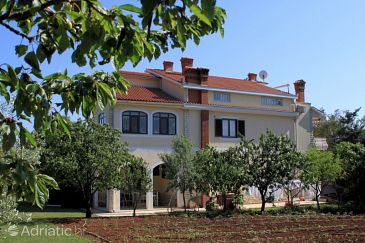 Property - Apartments 7627 Property Vabriga (Poreč) - Accommodation 7627 - Apartments with pebble beach.