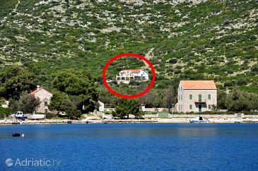 Property - Apartments 7971 Property Skrivena Luka (Lastovo) - Accommodation 7971 - Apartments with pebble beach.