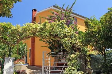 Property - Apartments 8110 Property Sali (Dugi otok) - Accommodation 8110 - Apartments near sea.