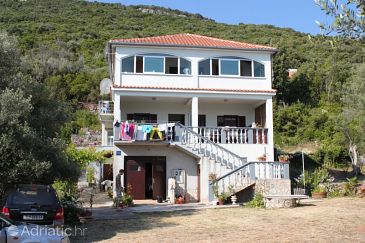Property - Apartments 8182 Property Luka (Dugi otok) - Accommodation 8182 - Apartments near sea.