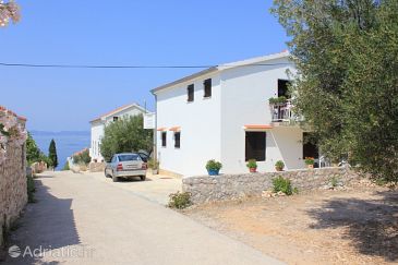 Property - Apartments 8298 Property Ždrelac (Pašman) - Accommodation 8298 - Apartments near sea with rocky beach.