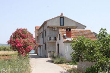 Property - Apartments and Rooms 8309 Property Dobropoljana (Pašman) - Accommodation 8309 - Apartments and Rooms near sea with sandy beach.