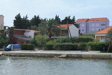 Property - Apartments 8508 Property Ugljan (Ugljan) - Accommodation 8508 - Apartments near sea with sandy beach.