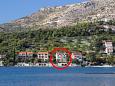 Apartments Slano (Dubrovnik) - 8538
