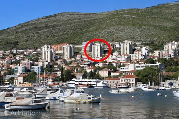 Property - Apartments 8587 Property Dubrovnik (Dubrovnik) - Accommodation 8587 - Apartments with pebble beach.