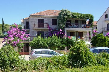 Property - Apartments 8686 Property Stari Grad (Hvar) - Accommodation 8686 - Apartments with pebble beach.