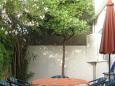 Terrace 1 - view Terrace 1 - view - Apartment A-8736-a - Apartments Bol (Brač) - 8736