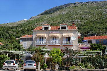 Property - Apartments and Rooms 8835 Property Mlini (Dubrovnik) - Accommodation 8835 - Apartments and Rooms with pebble beach.