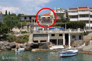 Property - Apartments and Rooms 8964 Property Molunat (Dubrovnik) - Accommodation 8964 - Apartments and Rooms near sea.