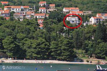 Property - Apartments 8991 Property Mlini (Dubrovnik) - Accommodation 8991 - Apartments with pebble beach.