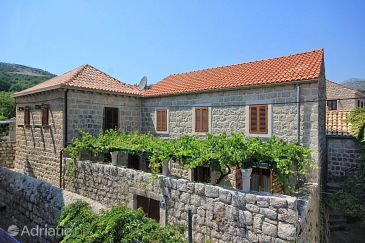 Property - Apartments 9013 Property Slano (Dubrovnik) - Accommodation 9013 - Apartments near sea with pebble beach.