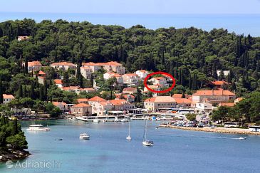Property - Apartments 9068 Property Cavtat (Dubrovnik) - Accommodation 9068 - Apartments near sea.