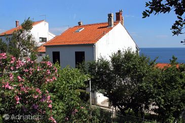Property - Apartments 9083 Property Dubrovnik (Dubrovnik) - Accommodation 9083 - Apartments with pebble beach.