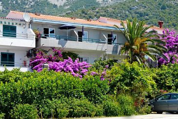 Property - Apartments 9654 Property Drvenik Donja vala (Makarska) - Accommodation 9654 - Apartments near sea with pebble beach.