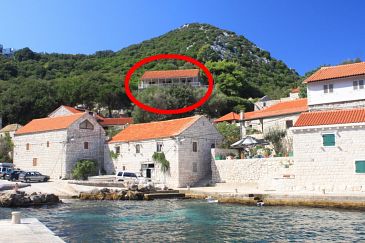 Property - Apartments and Rooms 990 Property Lučica (Lastovo) - Accommodation 990 - Apartments and Rooms near sea.