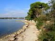 Nearby beaches Nearby beaches - Apartments Dajla (Novigrad) - 3339