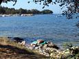 Nearest beach Nearest beach - Apartments Poreč (Poreč) - 6950