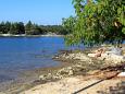 Nearby beaches Nearby beaches - Apartments Sveti Ivan (Umag) - 7173
