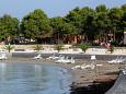 Nearest beach Nearest beach - Apartments Umag (Umag) - 7666