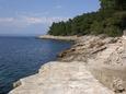 Nearest beach Nearest beach - Apartments Črnja Luka (Korčula) - 4464