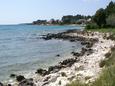 Nearest beach Nearest beach - Apartments Gradina (Korčula) - 10067