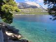 Nearest beach Nearest beach - Apartments Korčula (Korčula) - 4373