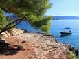 Nearest beach Nearest beach - Apartments Lumbarda (Korčula) - 9260