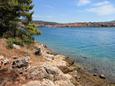 Nearest beach Nearest beach - Apartments Vela Luka (Korčula) - 159