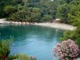 Nearest beach Nearest beach - Apartments Saplunara (Mljet) - 4932