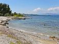 Nearest beach Nearest beach - Apartments Drače (Pelješac) - 10135