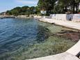 Nearest beach Nearest beach - Rooms Barbat (Rab) - 4995