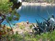 Nearest beach Nearest beach - Rooms Božava (Dugi otok) - 392
