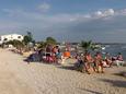 Nearest beach Nearest beach - Apartments Vir (Vir) - 11123