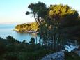 Uvala Makarac Uvala Makarac - Apartments Uvala Makarac (Brač) - 11707