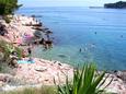 Nearest beach Nearest beach - Apartments Jelsa (Hvar) - 8803